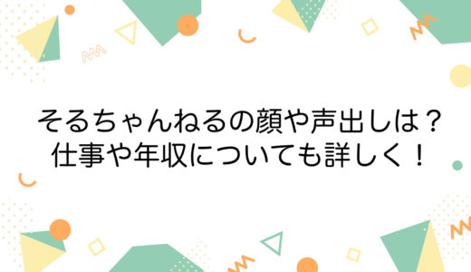 そるちゃんねるの顔や声出しは？仕事や年収についても詳しく！